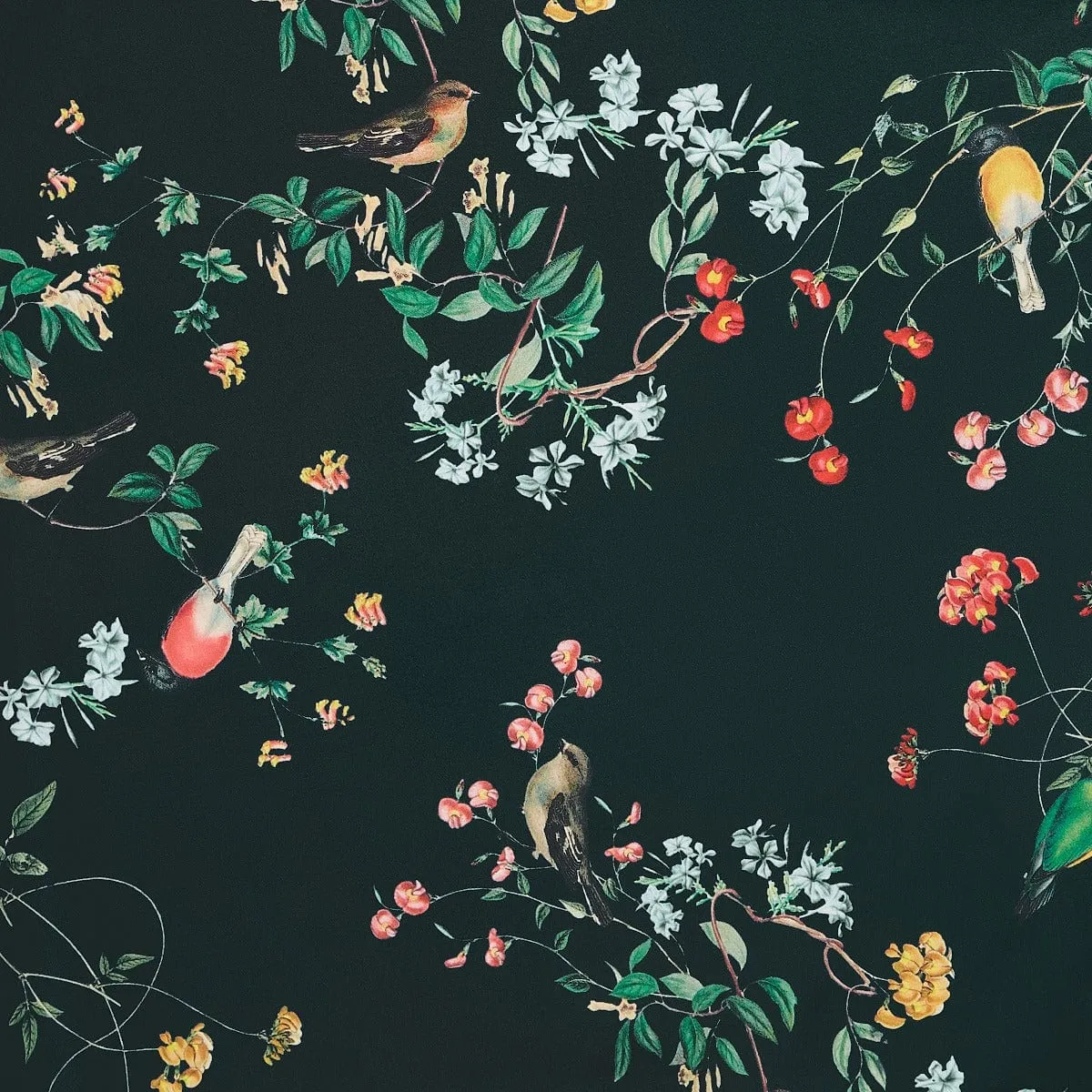 Amanda 50s Inspired Flared Swing Dress Black Birds & Leaves