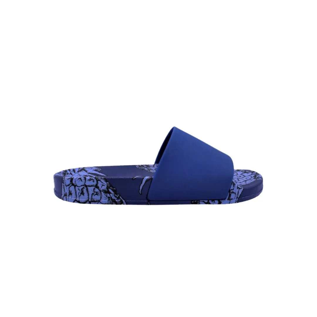 Blue Pineapple Slides