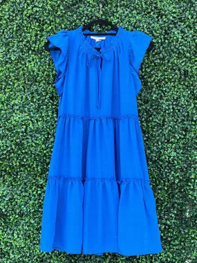 Blue Raspberry Dress